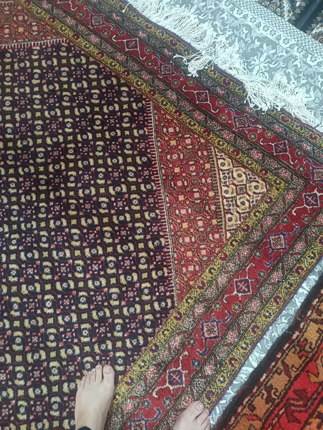 فرش دستبافت ریزه ماهی‌،فرش سورمه ای،میسی|فرش|اردبیل, |دیوار