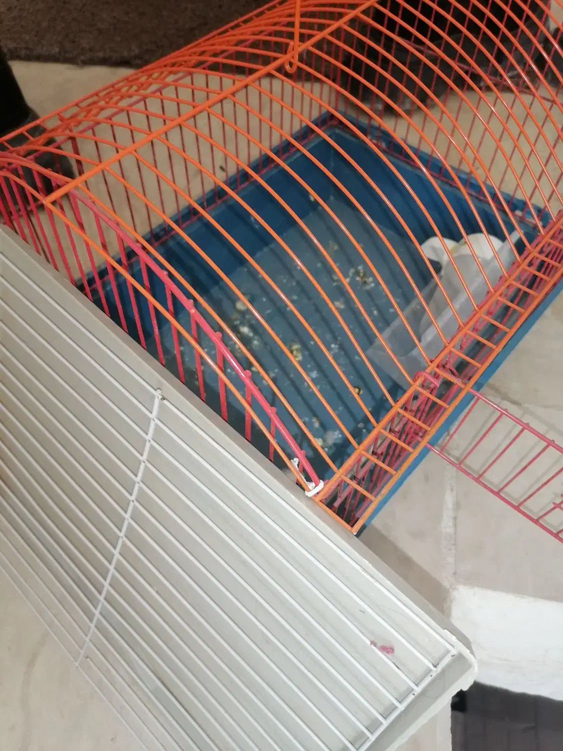 قفس وطلق موتور وباکس کنتراب  قیمت منصفانه|لوازم جانبی حیوانات|سبزوار, گلشن|دیوار