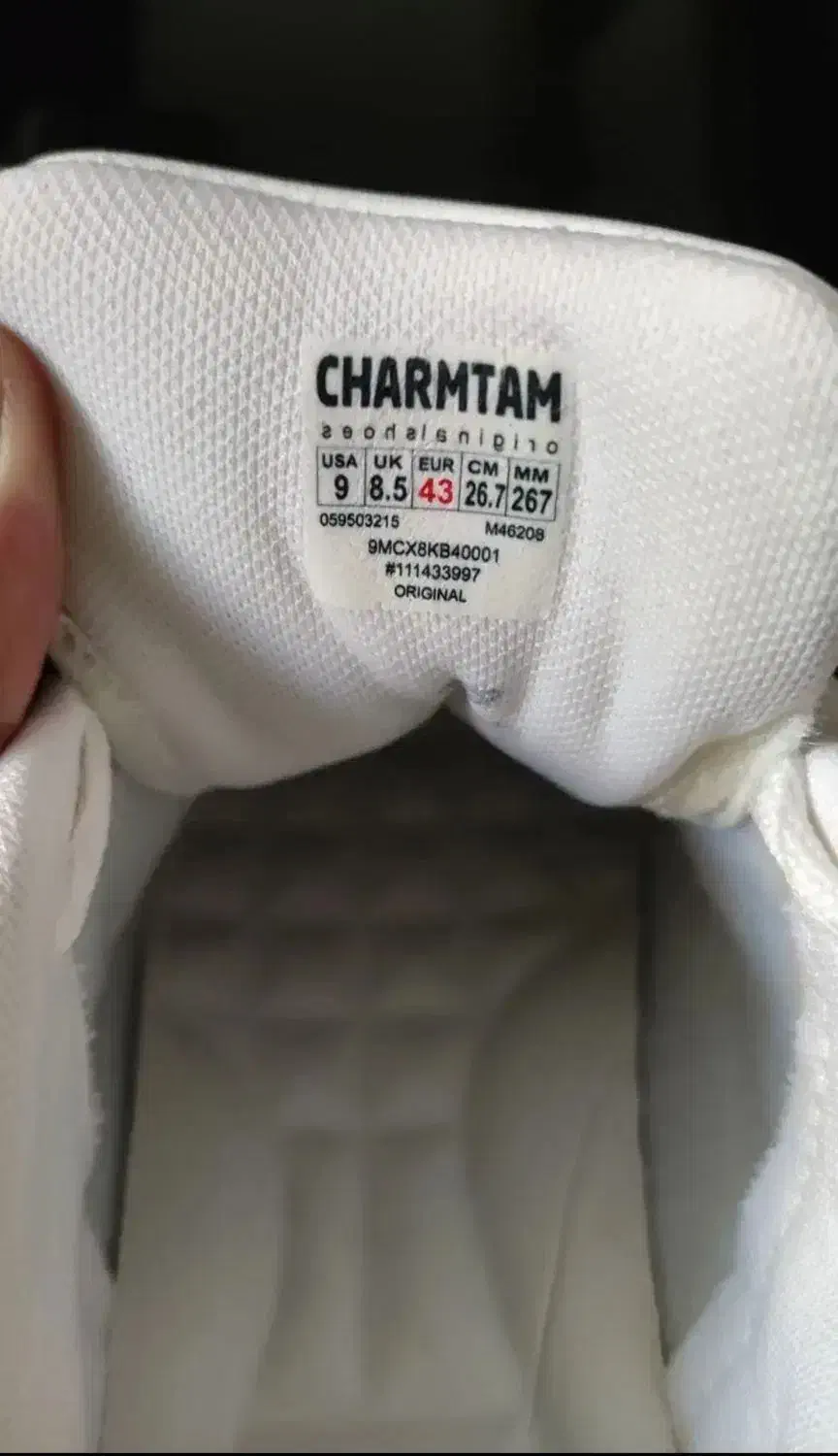 کفش اسکیچرز|کیف، کفش، کمربند|بندر ماهشهر, |دیوار