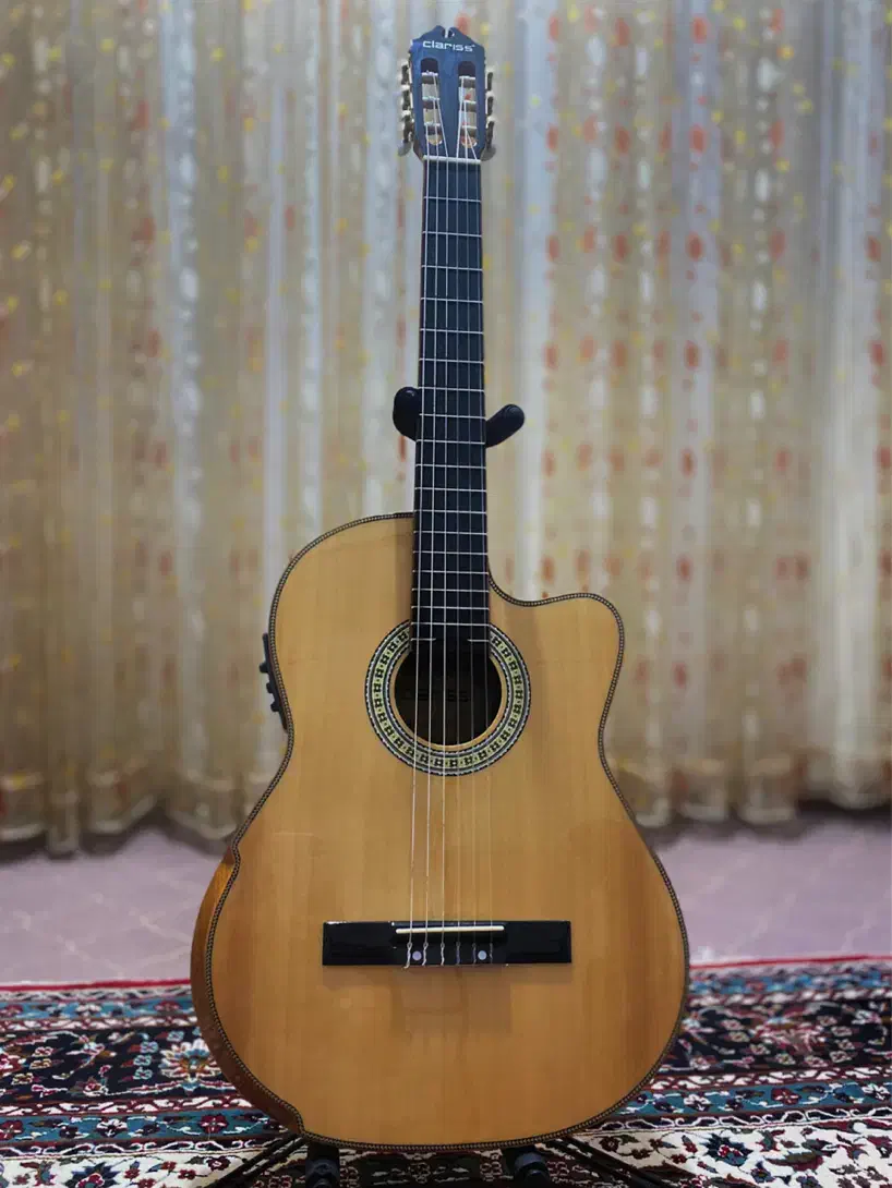 گیتار حرفه ایی مخصوص اجرای زنده|گیتار، بیس، امپلیفایر|گنبد کاووس, |دیوار