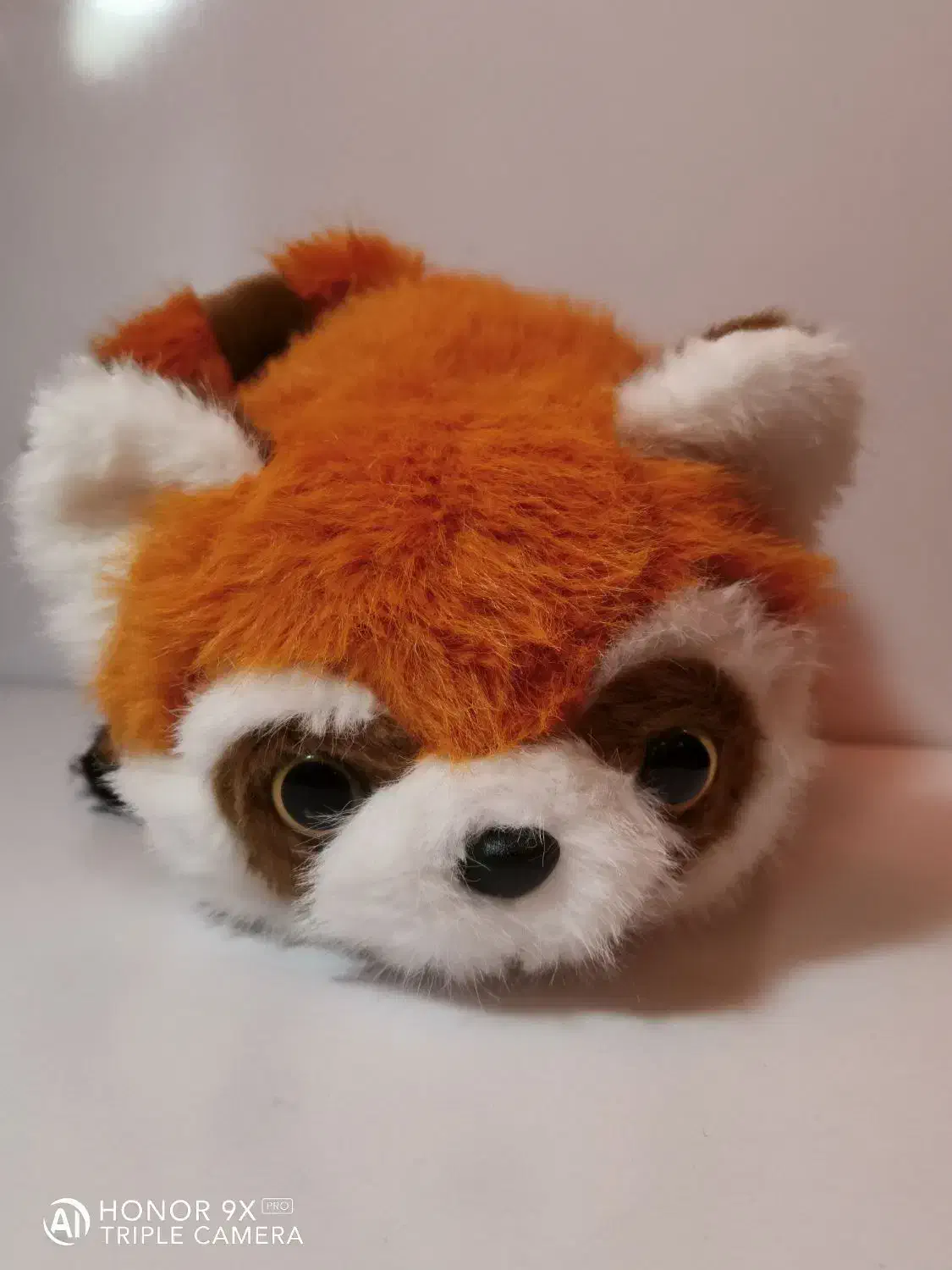 عروسک دوقلوی پاندا و راکون|اسباببازی|شیراز, شهرک مدرس|دیوار