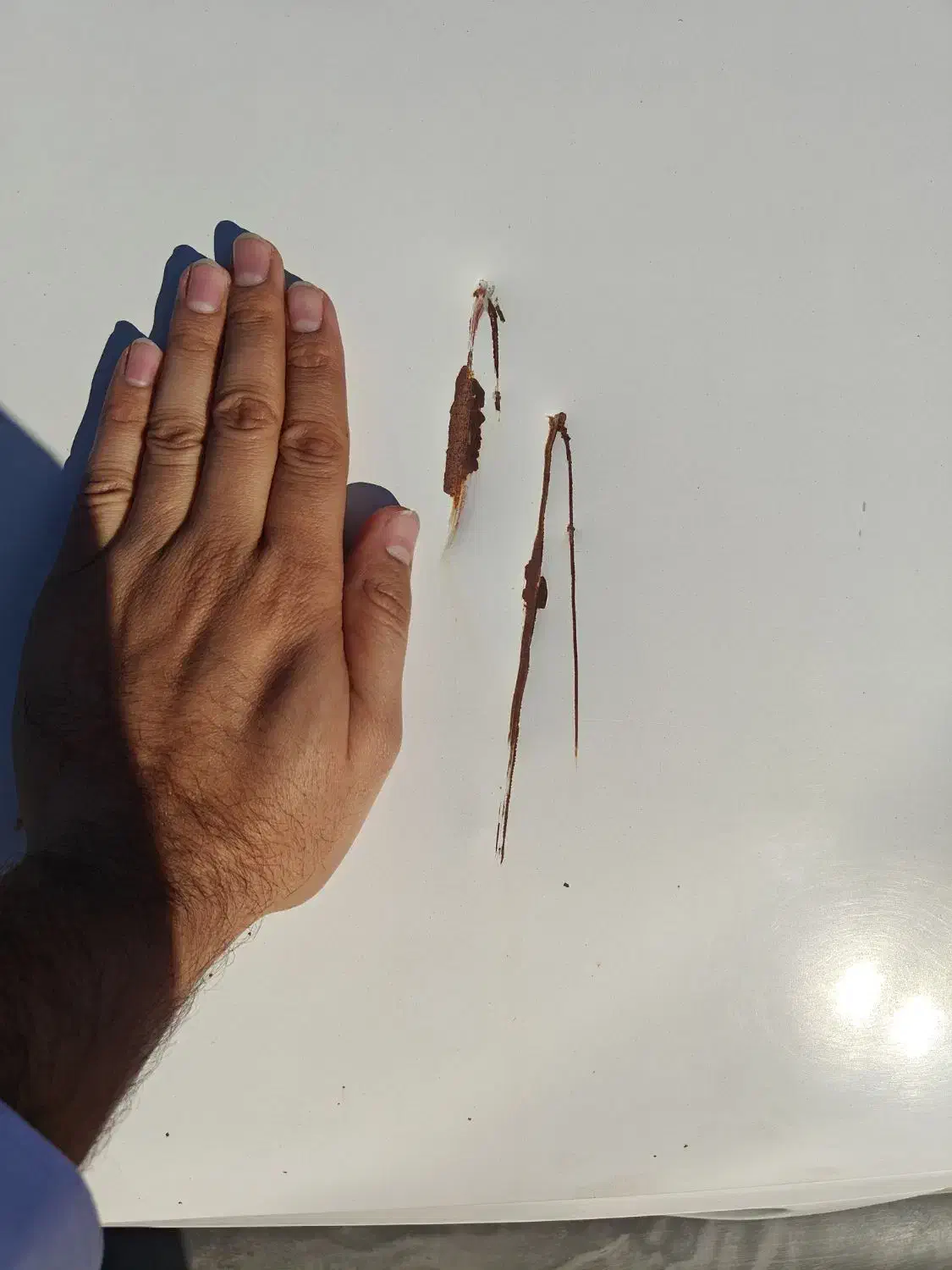 پرایدبار 151 مدل 95|خودرو سواری و وانت|اشکنان, |دیوار