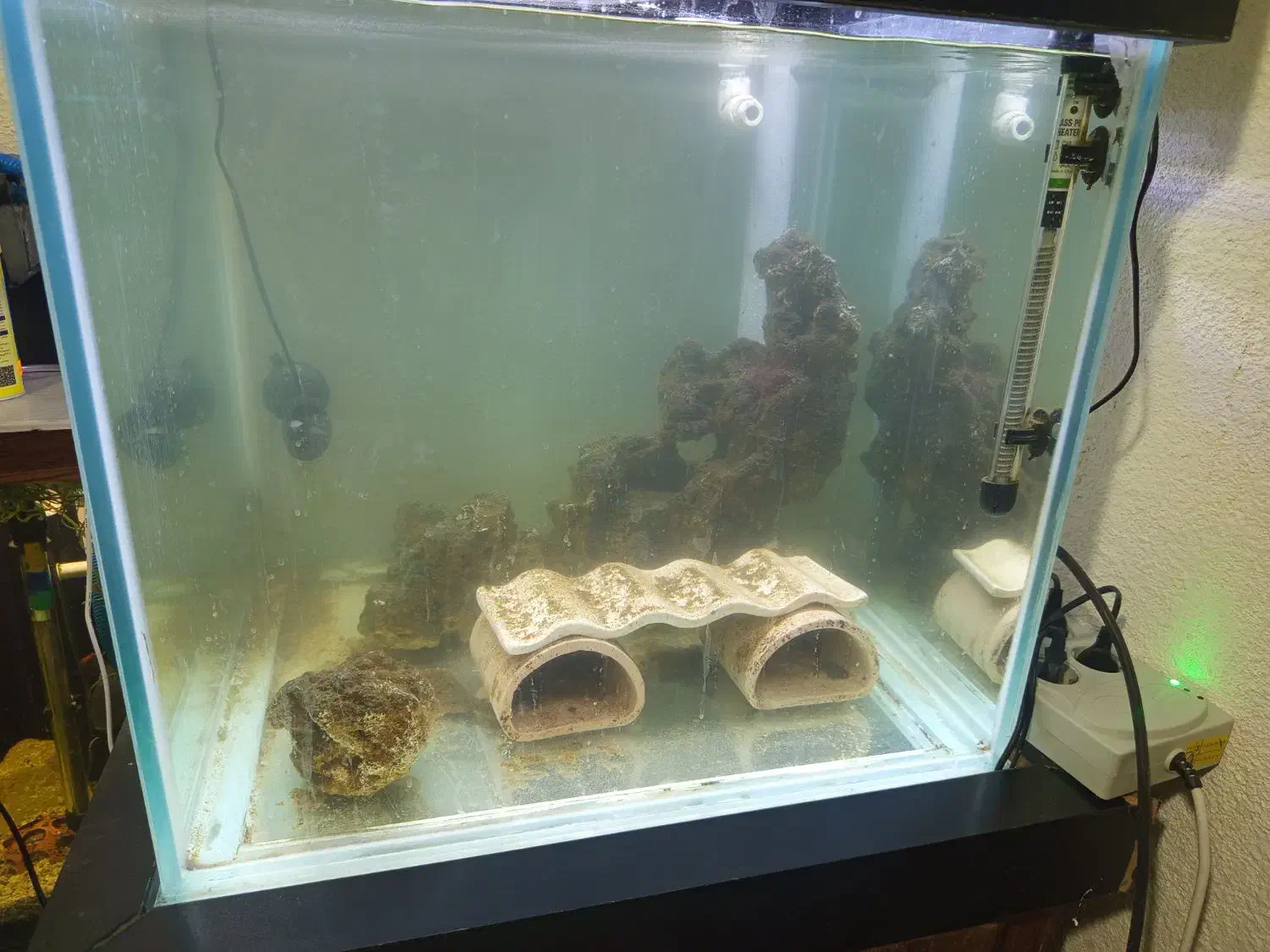 آکواریوم آب شور|ماهی|اصفهان, شفق|دیوار