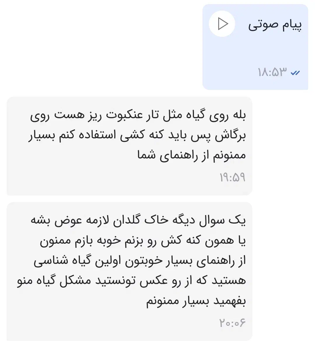 تشخیص و معرفی بهترین گیاه برای منزل و محل کار شما|گل و گیاه طبیعی|مشهد, ولیعصر (شهرک غرب)|دیوار