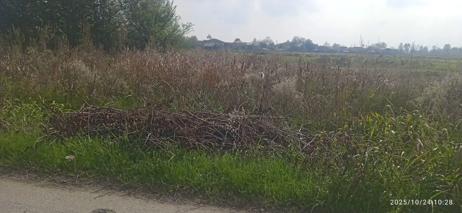 مزرعه‌کشاورزی400متر|فروش دفتر صنعتی، کشاورزی، تجاری|رودسر, |دیوار