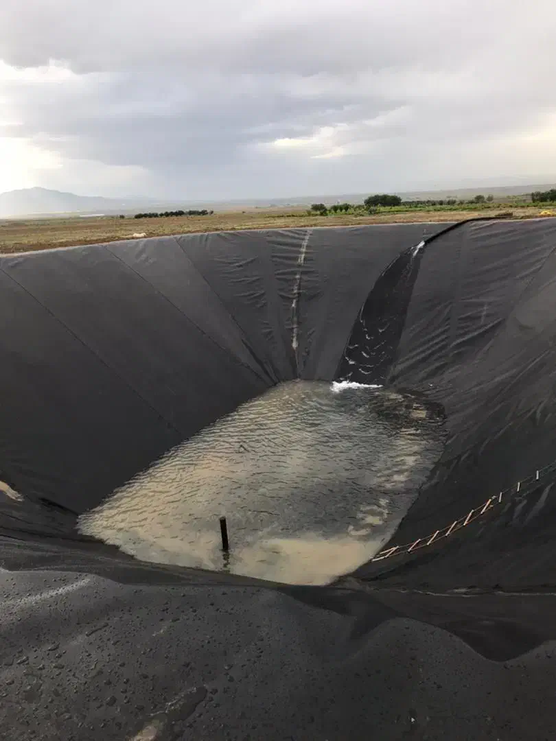 استخر پلیمری کشاورزی با ورق ژئوممبران|خدمات باغبانی و درختکاری|سراب, |دیوار