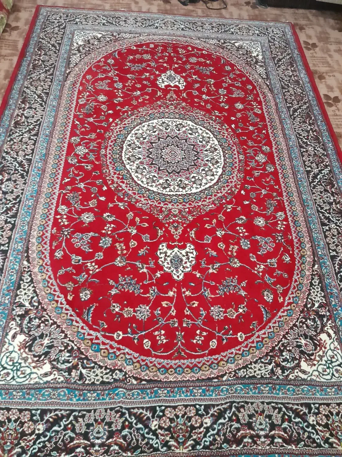 قالی|فرش|تربت جام, معدآباد|دیوار