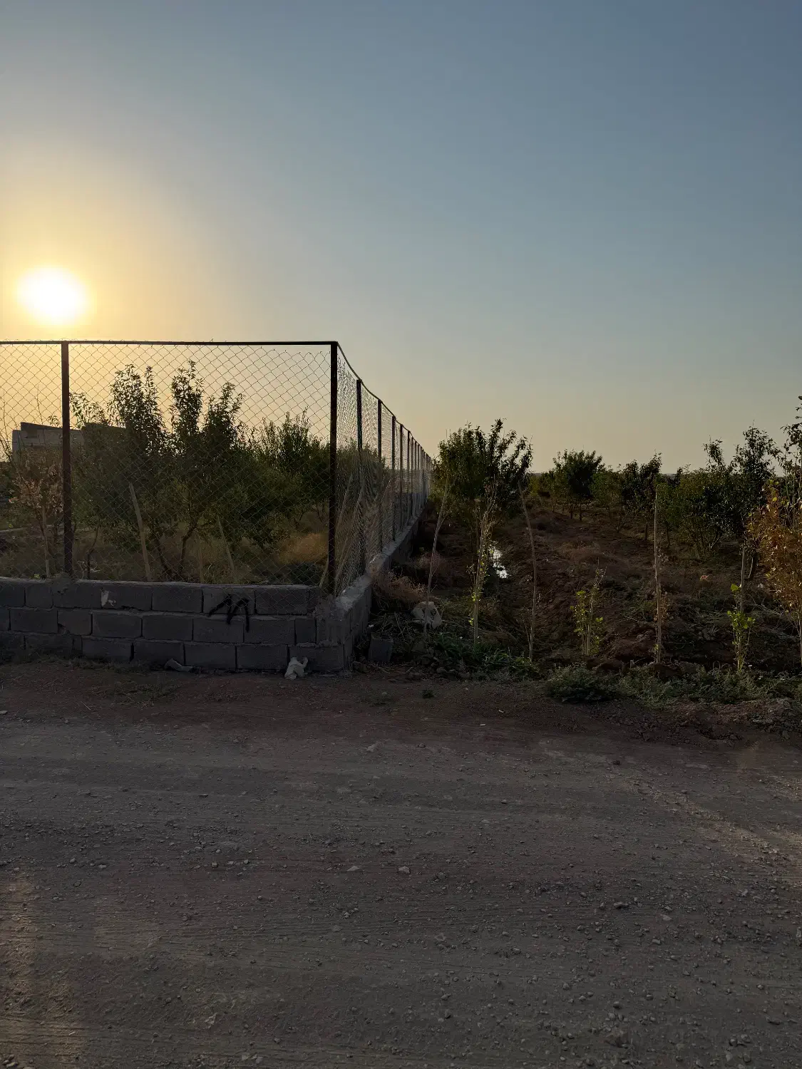 باغ بادام|فروش زمین و ملک کلنگی|زرندیه, |دیوار