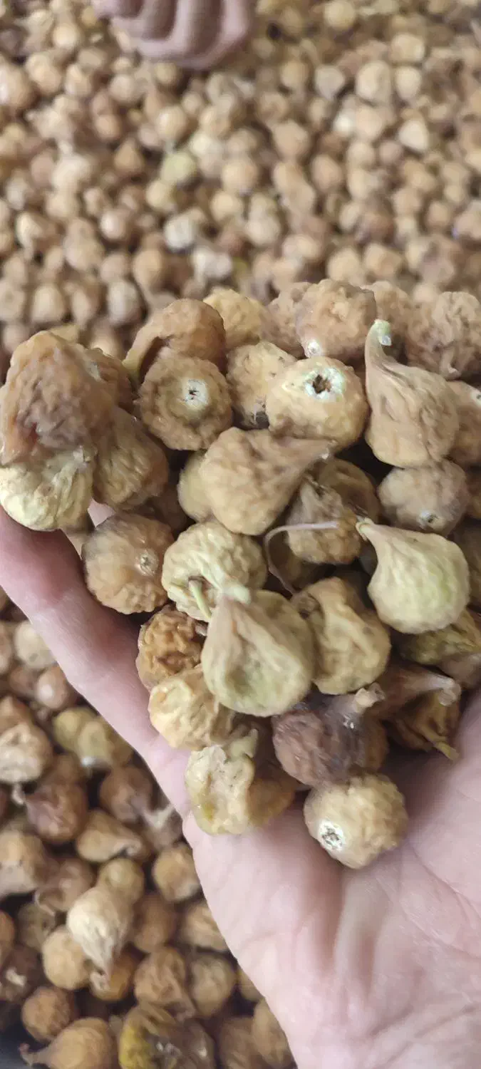 انجیر دیم گوشتی خوش طعم فقط مصرف کننده|خوردنی و آشامیدنی|شیراز, کوشک میدان|دیوار