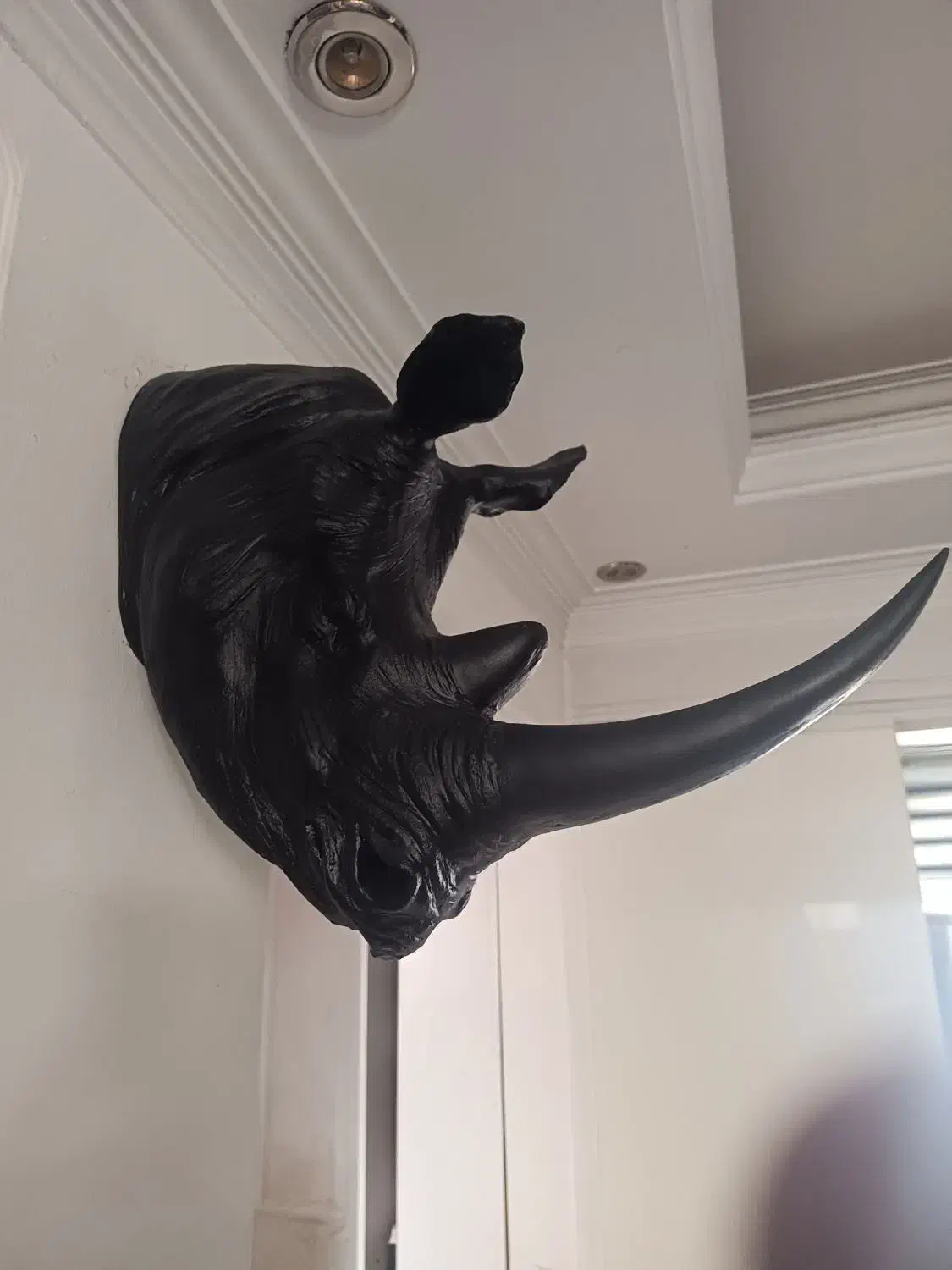 سردیس کرگدن جنس فایبرکلاس|مجسمه، تندیس، ماکت|کرج, گوهردشت|دیوار