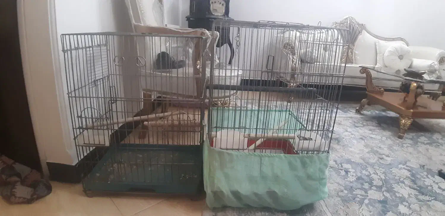 ۲ عدد قفس بزرگ|لوازم جانبی حیوانات|تهران, افسریه شمالی|دیوار