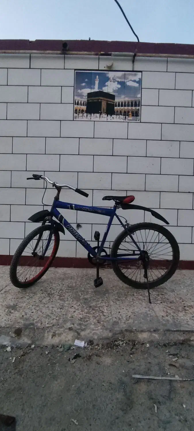 دوچرخه|دوچرخه، اسکیت، اسکوتر|بندر ماهشهر, |دیوار