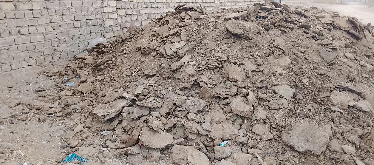 کود درجه ۱|خدمات باغبانی و درختکاری|رفسنجان, |دیوار