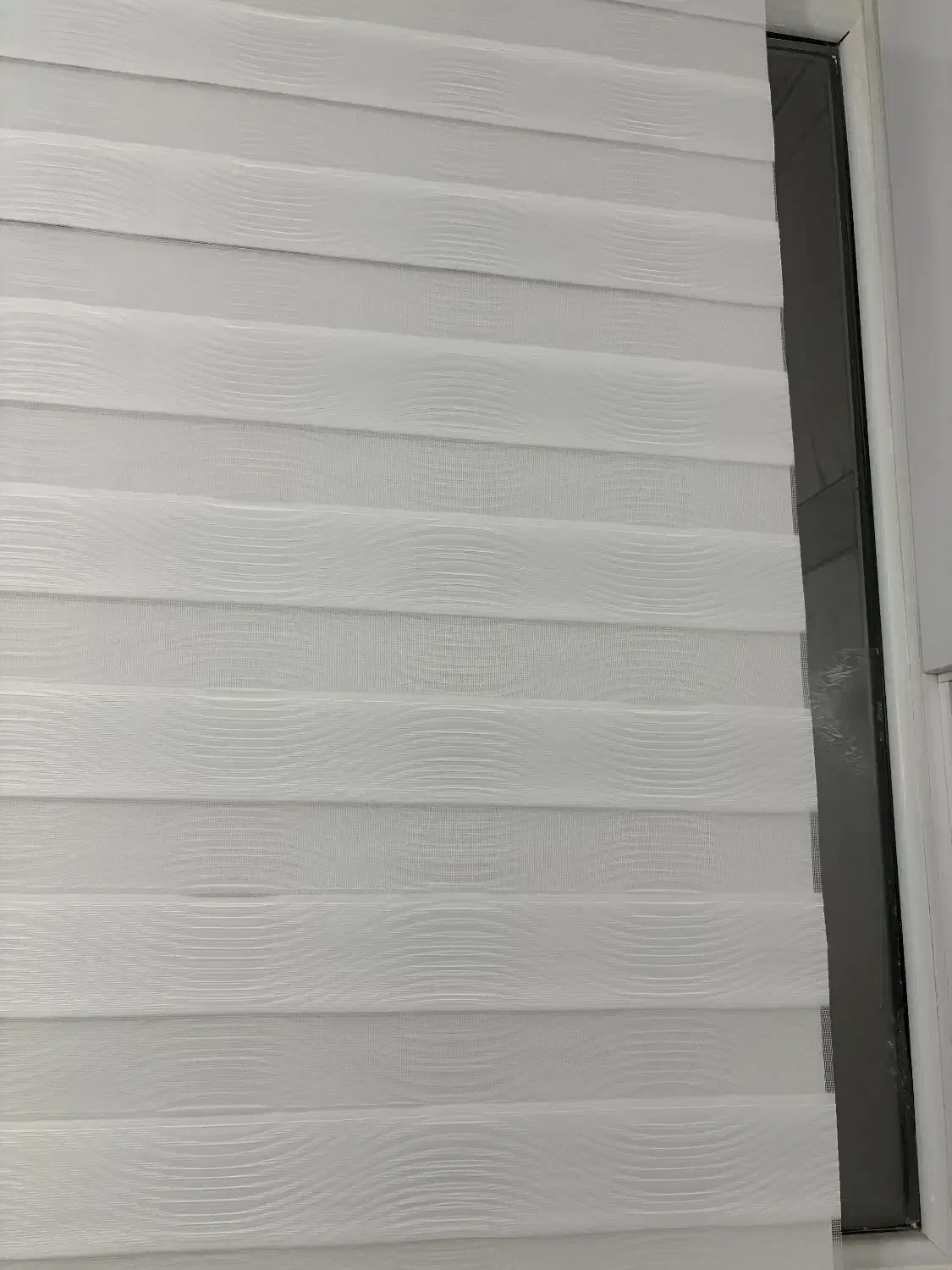 پرده زبرا آماده|پرده، رانر، رومیزی|تبریز, |دیوار