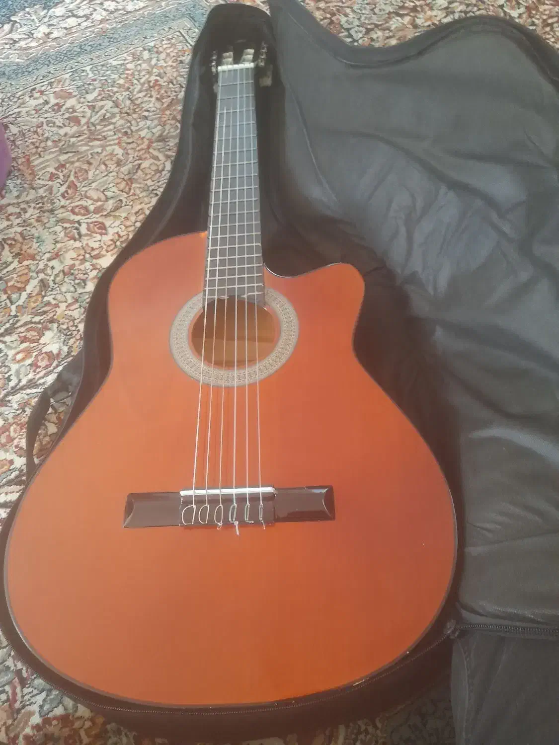 گیتار|گیتار، بیس، امپلیفایر|الیگودرز, |دیوار