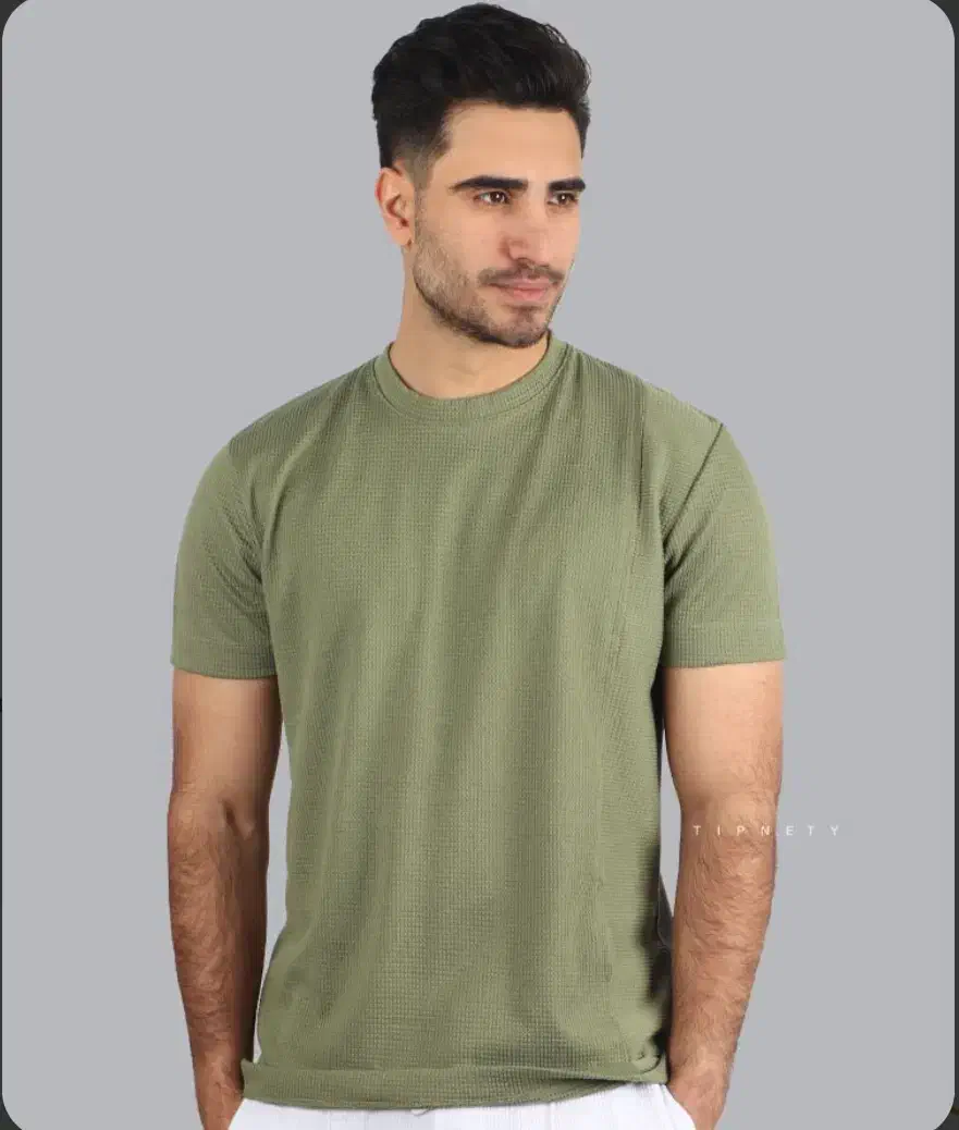 تیشرت بیسکویتی مردانه عمده / همکار|لباس|مشهد, حسینآباد|دیوار