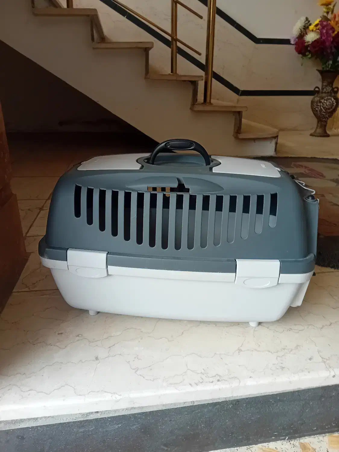 باکس پت|لوازم جانبی حیوانات|نوشهر, |دیوار