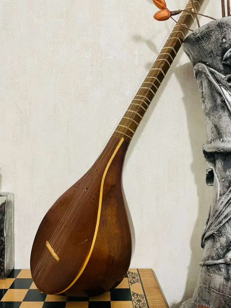 آموزش انلاین مبتدی سه تار|خدمات آموزشی|صدرا-فارس, فاز ۱|دیوار