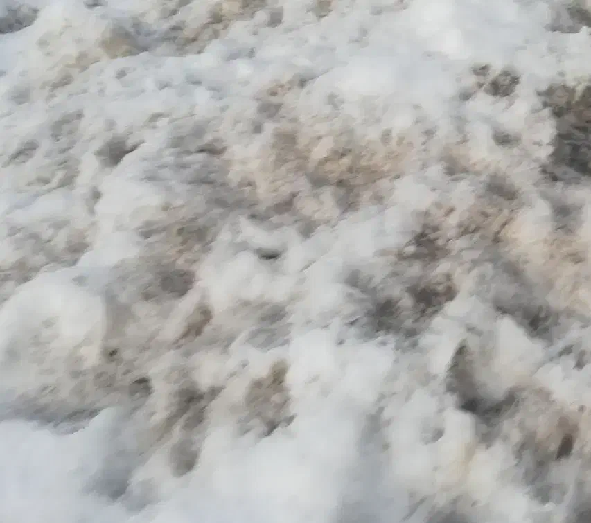 مدارک گم شده|اشیا|سامان, |دیوار