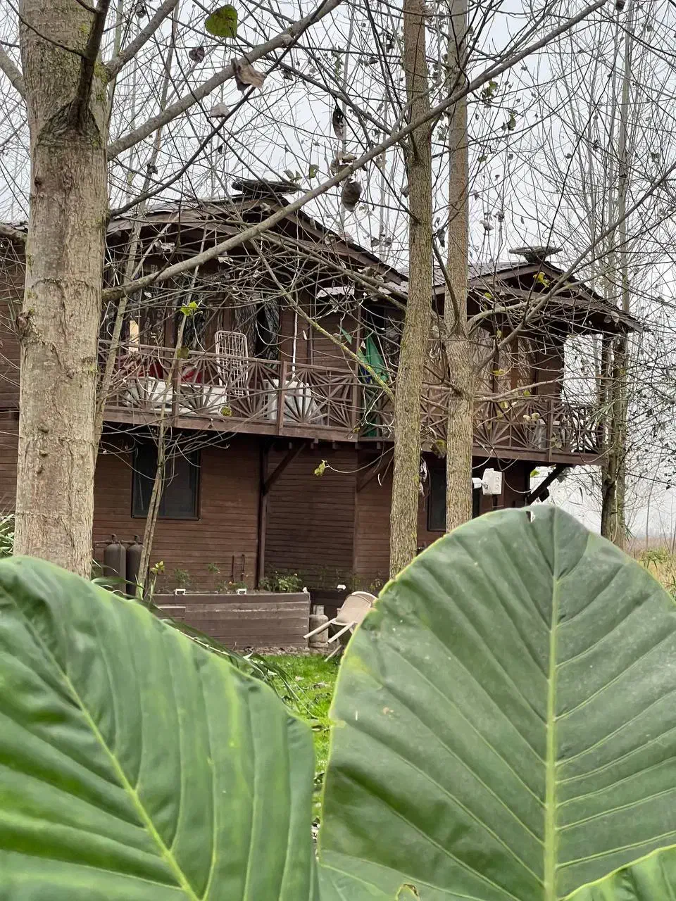 فروش ویلا در مکانی دنج|فروش خانه و ویلا|قصرشیرین, |دیوار