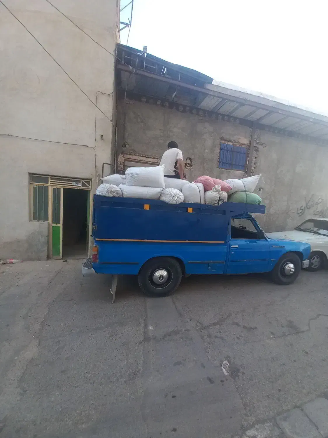 کودیابارکفتر|خدمات باغبانی و درختکاری|بردسکن, |دیوار