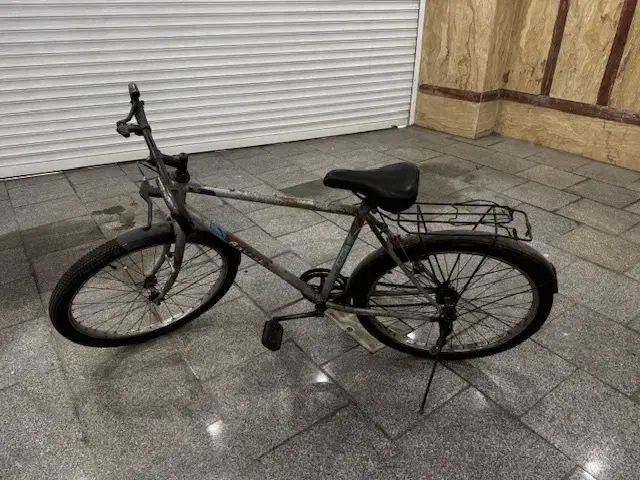 دوچرخه دماوند|دوچرخه، اسکیت، اسکوتر|تهران, دکتر هوشیار|دیوار