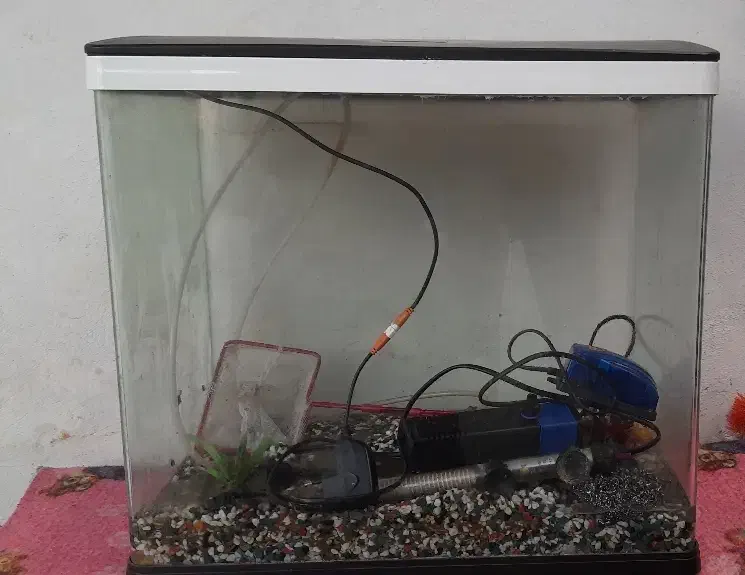 آکواریوم دلسا k 500|ماهی|گرگان, |دیوار