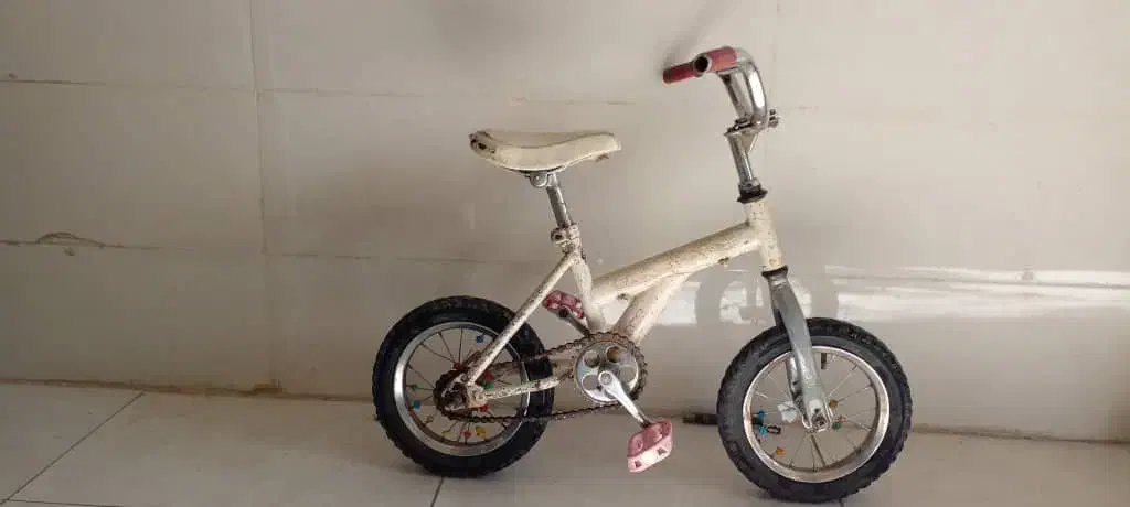 دو عدد دوچرخه سایز ۱۲|دوچرخه، اسکیت، اسکوتر|بهمن صغاد, |دیوار