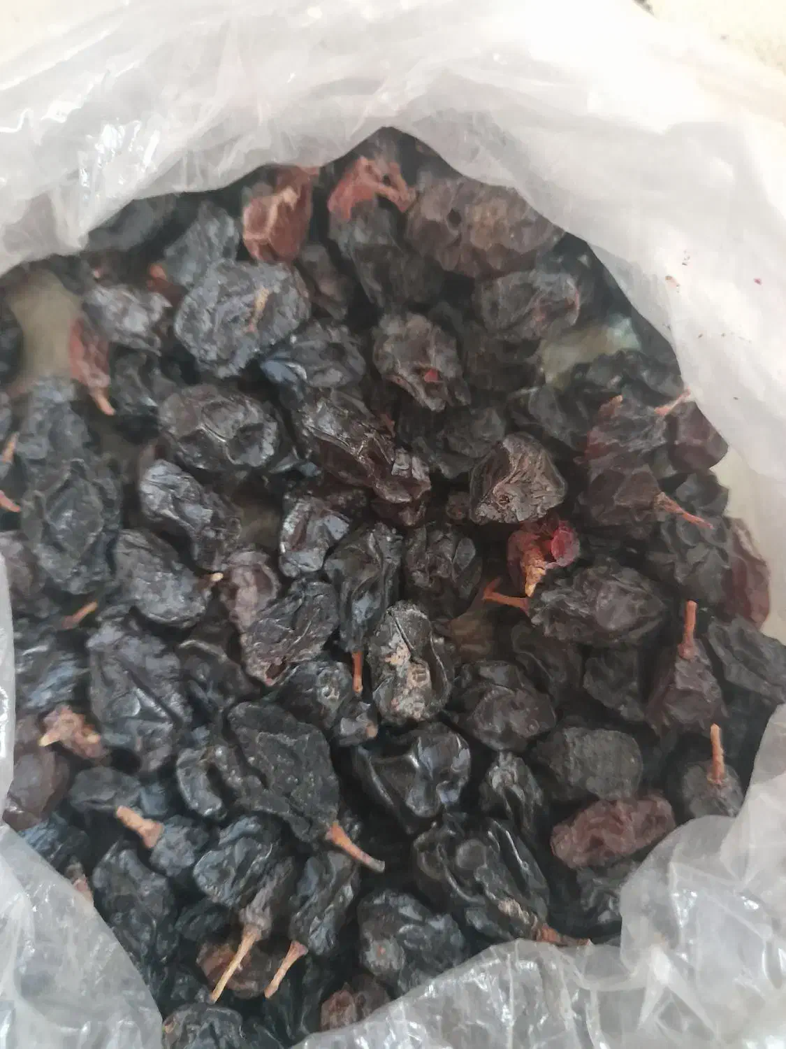 سلام مویز انگور بش شیرین|خوردنی و آشامیدنی|شیراز, ارم|دیوار