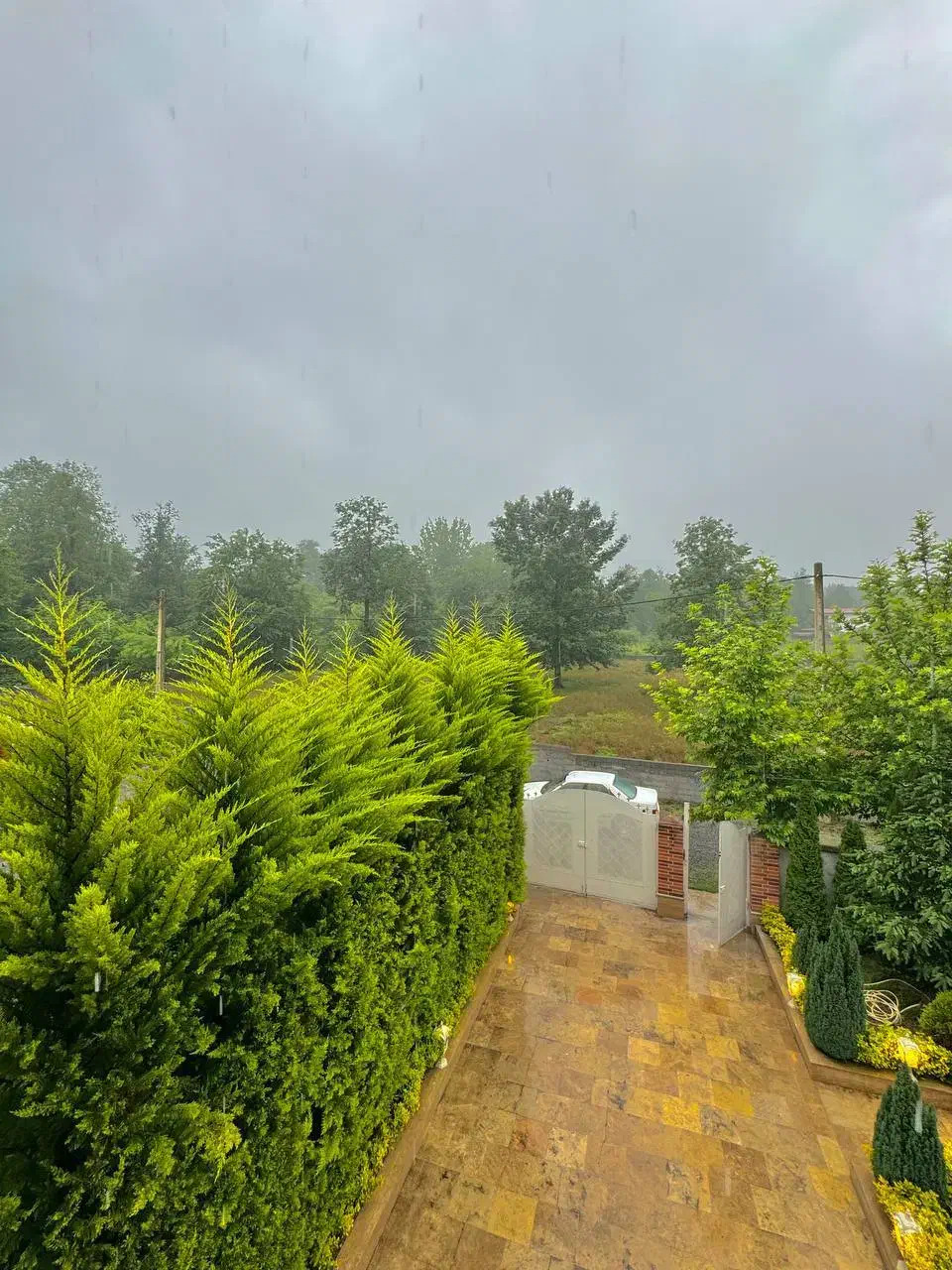 فروش ویلا دوبلکس با ویو ابدی جنگل و فول مبله|فروش خانه و ویلا|رویان, |دیوار