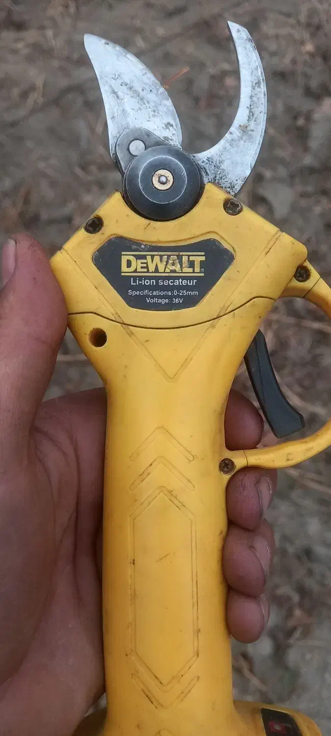 خدماتی|خدمات باغبانی و درختکاری|ارومیه, |دیوار