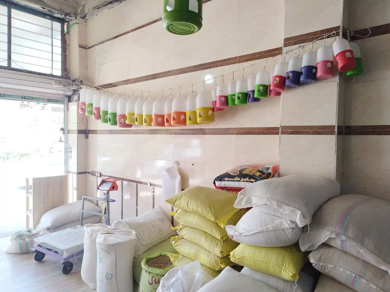 خوراک دام و طیور|لوازم جانبی حیوانات|زرند, |دیوار