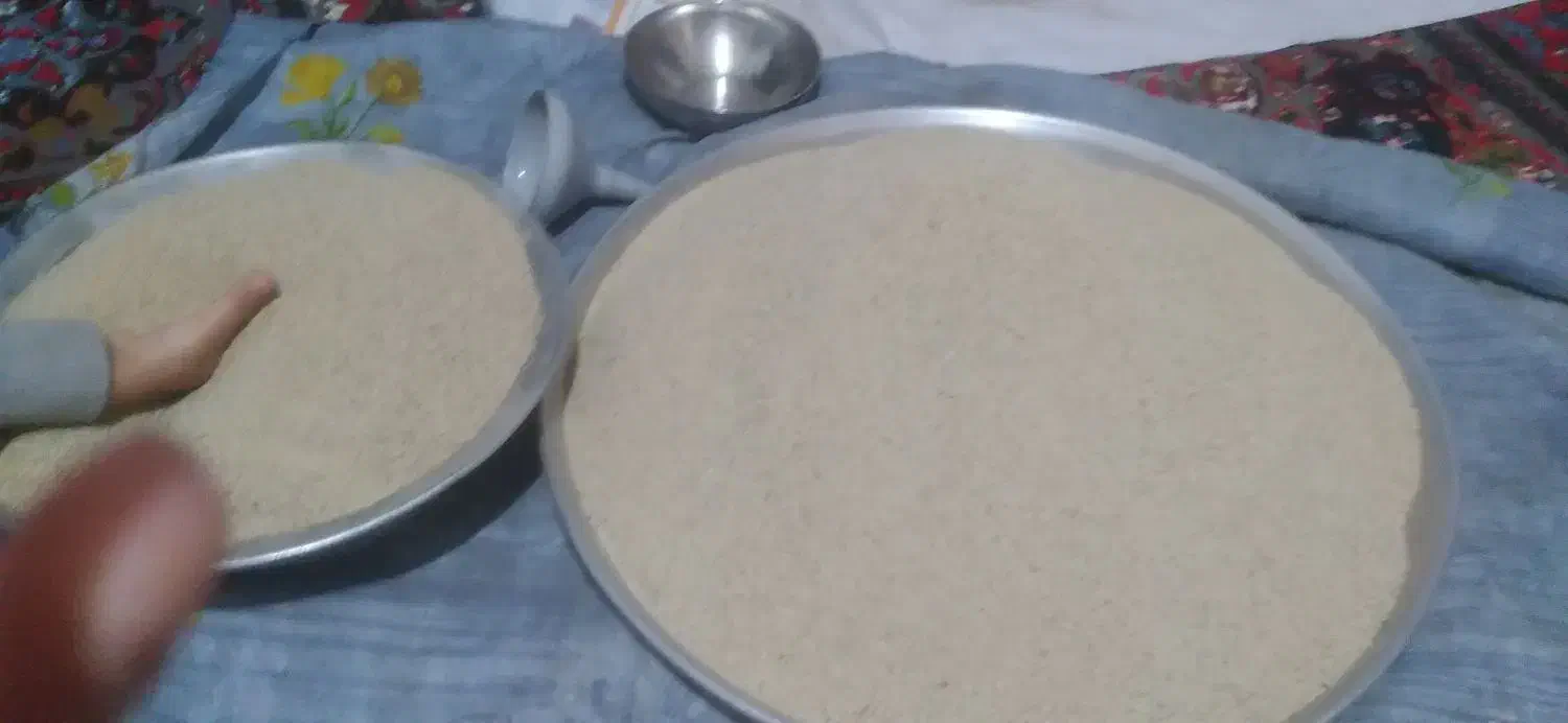 بذر توم|گل و گیاه طبیعی|کوهدشت, |دیوار