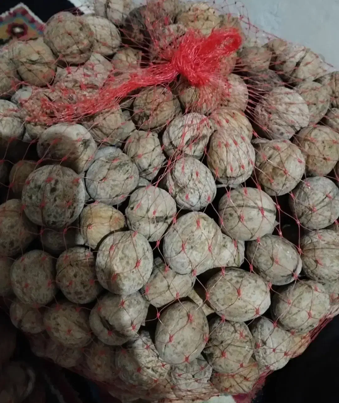 گردو|خوردنی و آشامیدنی|سرولایت, |دیوار