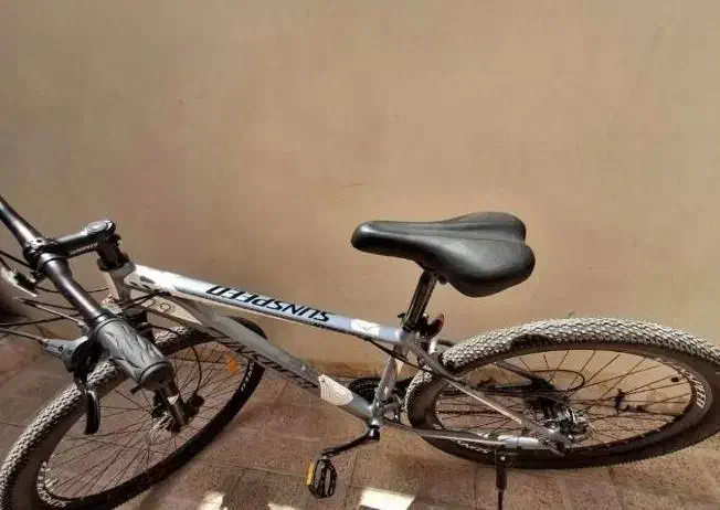 دوچرخه ۲۹|دوچرخه، اسکیت، اسکوتر|دلیجان, |دیوار