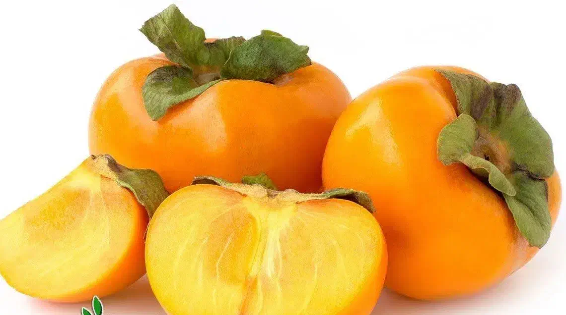 پیشفروش نهال خرمالو فویو دوساله|خدمات باغبانی و درختکاری|گهواره, |دیوار