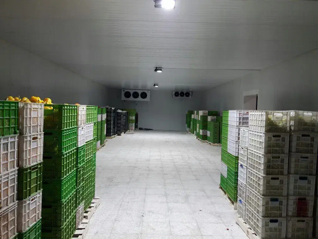 0303 تولید و فروش انواع 0303 سردخانه در اصفهان|ماشینآلات صنعتی|نجفآباد, شیخ بهایی|دیوار