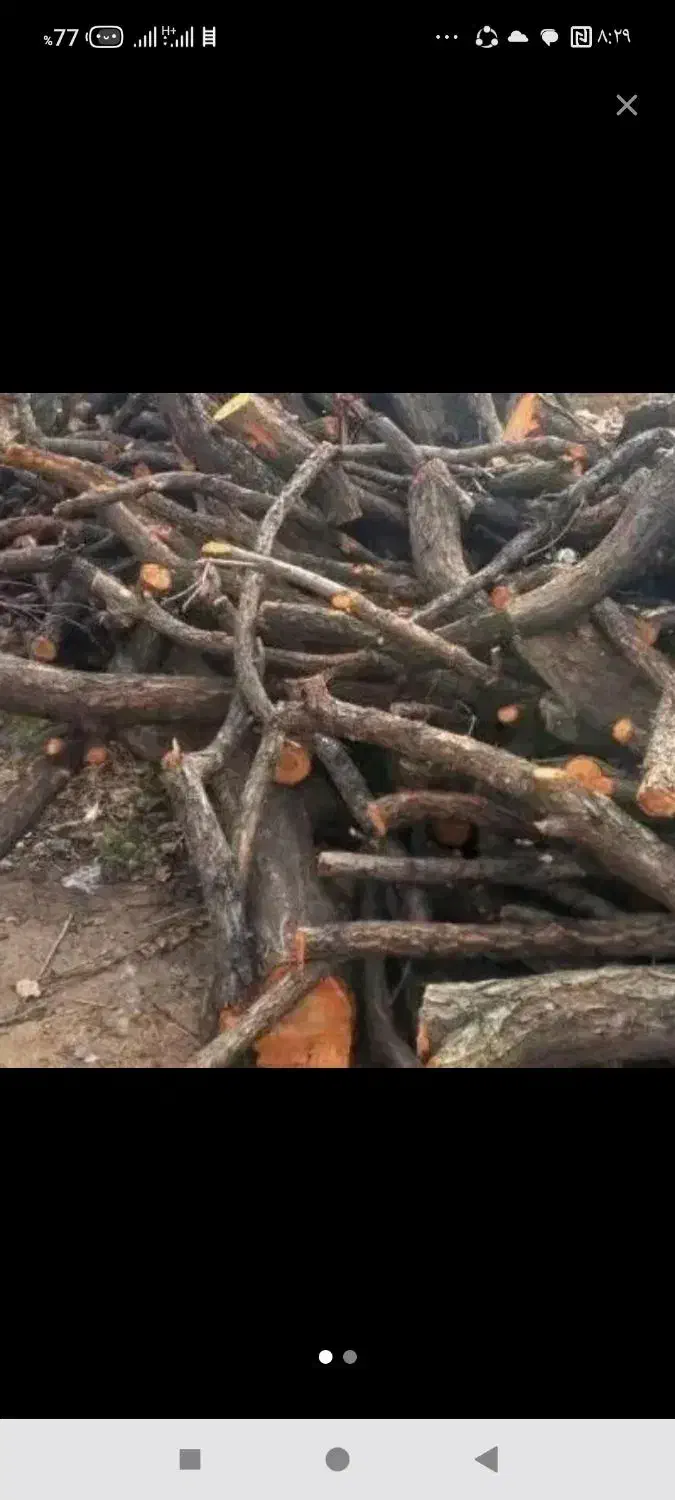 خریدار چوب با بالاترین قیمت|خدمات باغبانی و درختکاری|نورآباد, |دیوار