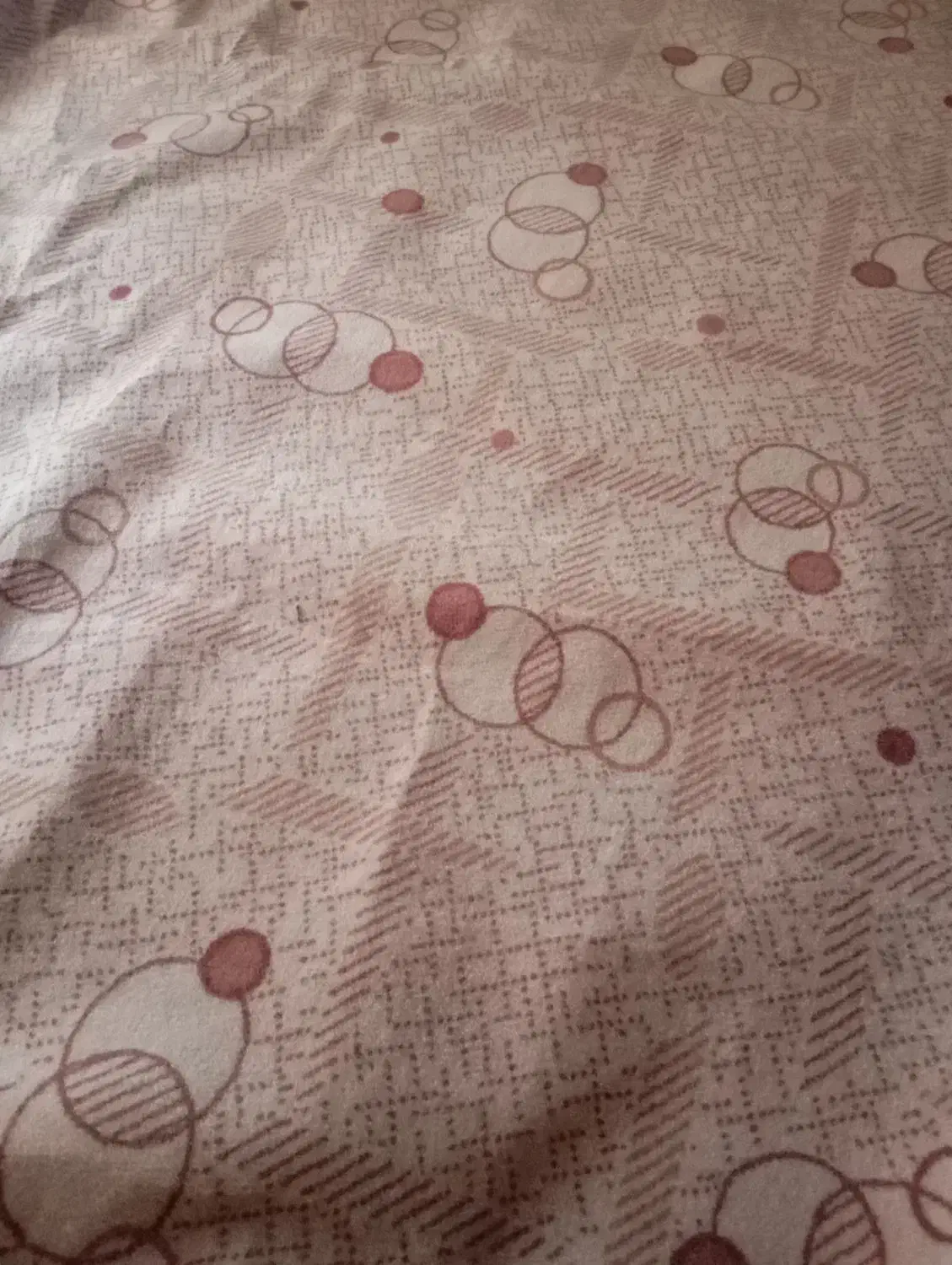 موکت نو خیلی کم استفاده شده|موکت|رباط‌کریم, مسکن مهر آبشناسان|دیوار