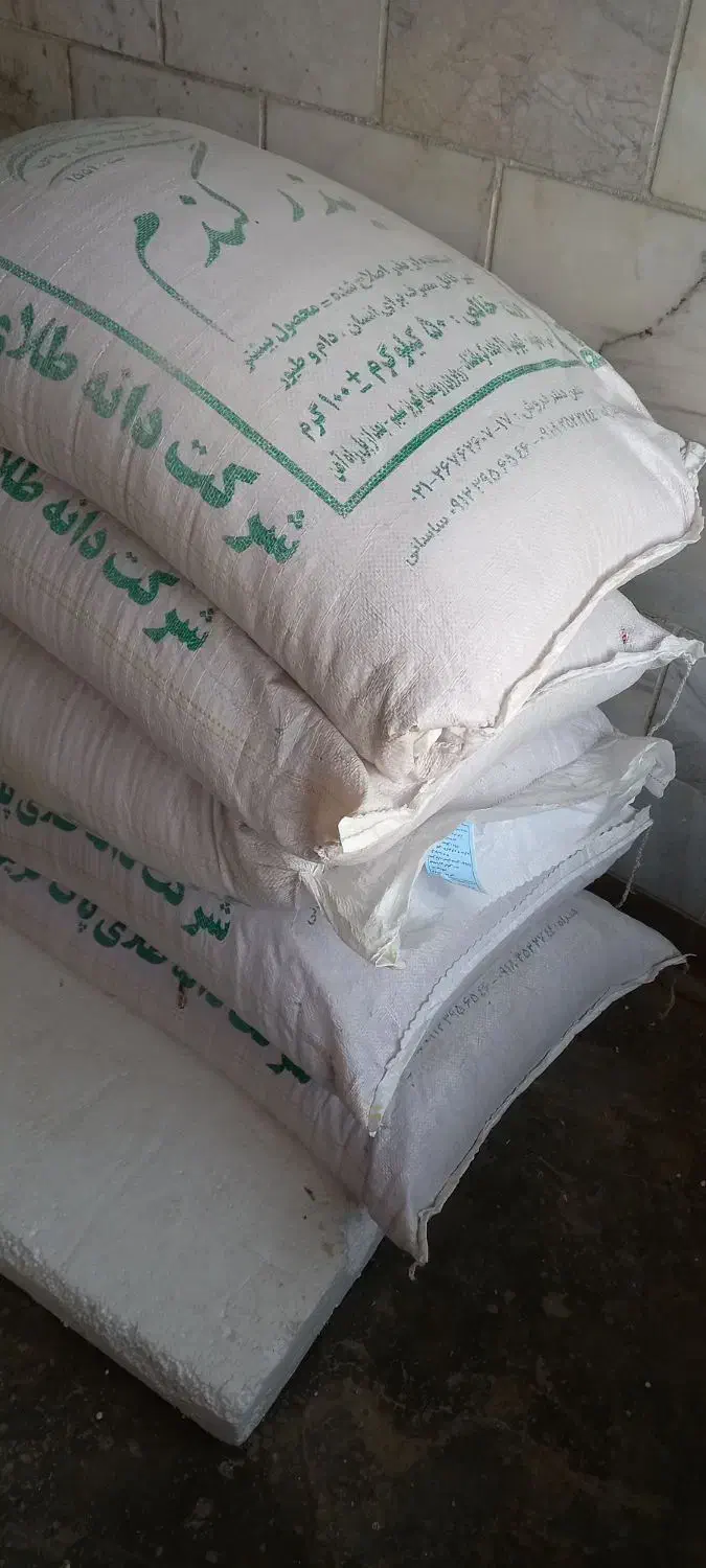 گندم ابی پیشگام ۲۵۰ کیلو|گل و گیاه طبیعی|اسدآباد, |دیوار