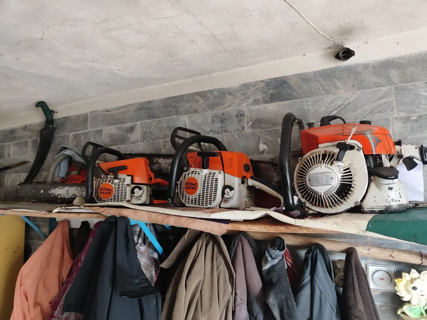 خرید درخت و هرس|خدمات باغبانی و درختکاری|اسکو, |دیوار