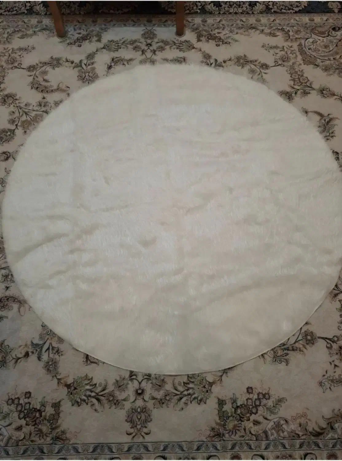 فرش ماشینی فانتزی|فرش|مشهد, هنرستان|دیوار