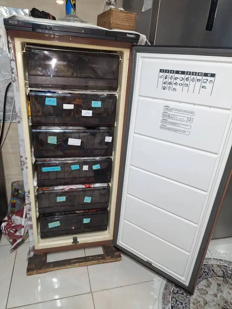 فریزر|یخچال و فریزر|شیراز, تندگویان|دیوار