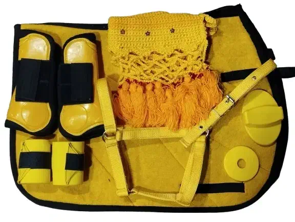 ست سوارکاری|اسب و تجهیزات اسبسواری|تولم شهر, |دیوار