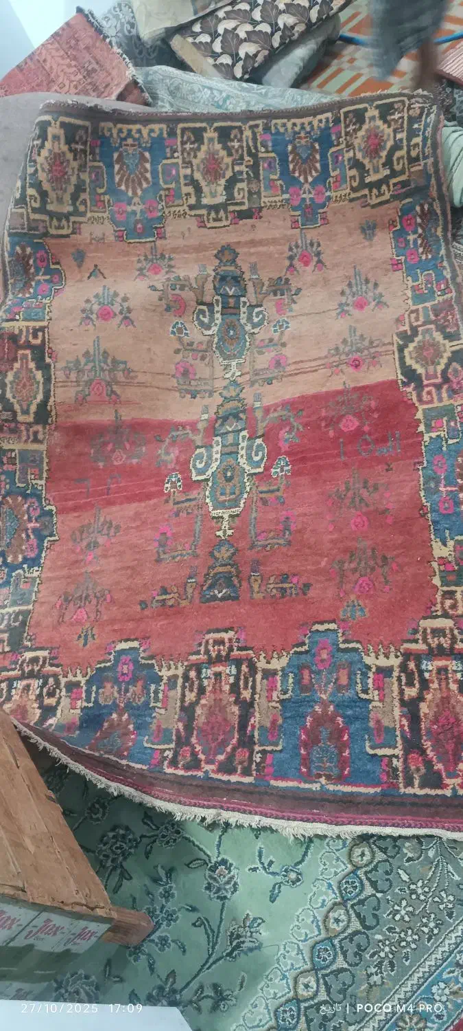 دو عدد قالی دست بافت قدیمی|فرش|رفسنجان, |دیوار