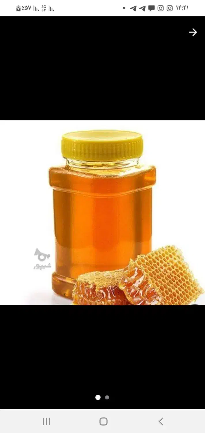 عسل‌‌گون|خوردنی و آشامیدنی|سامن, |دیوار