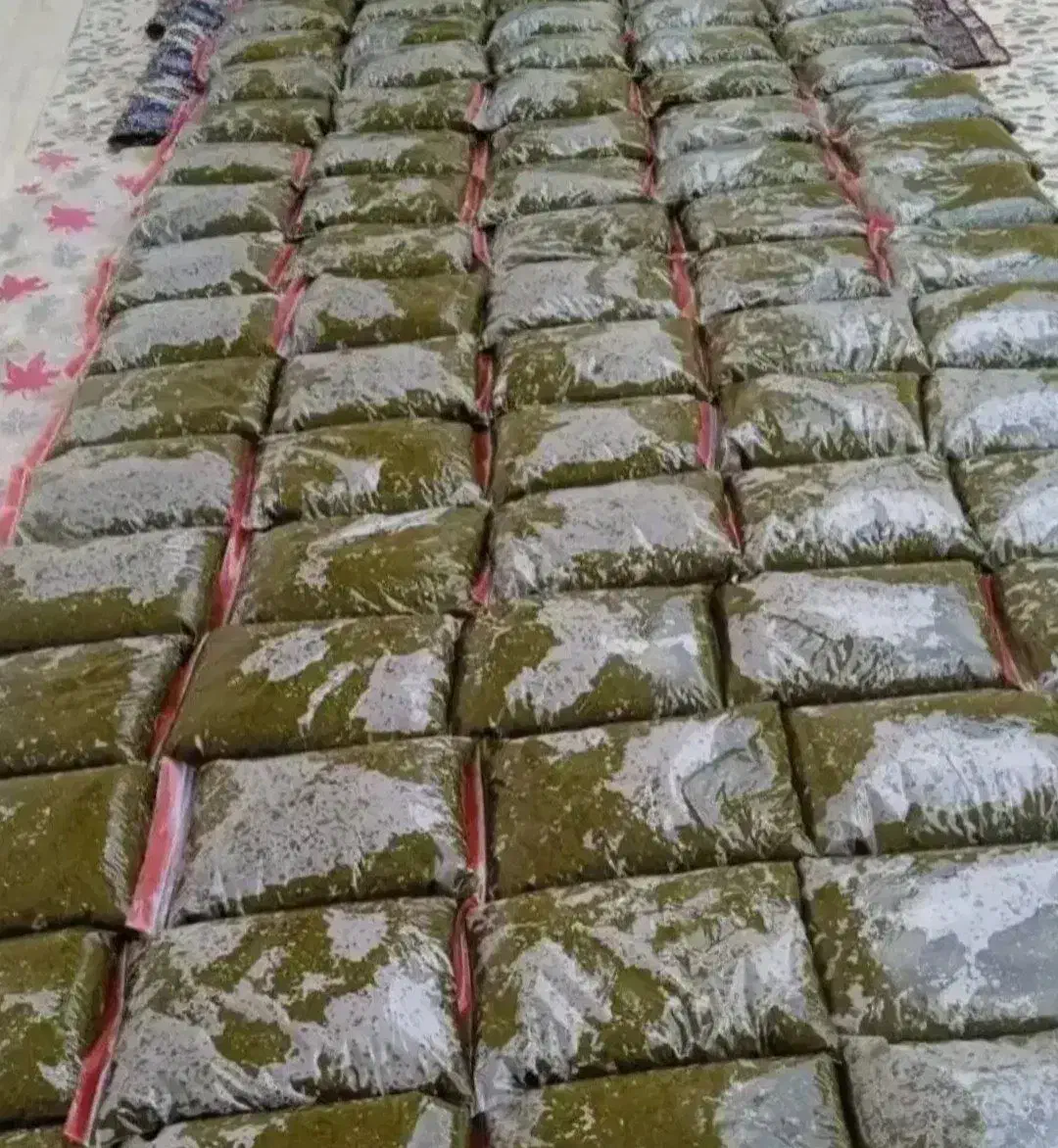 خورشتی جنوب|خوردنی و آشامیدنی|شاهین‌شهر, شهرک مطهری|دیوار