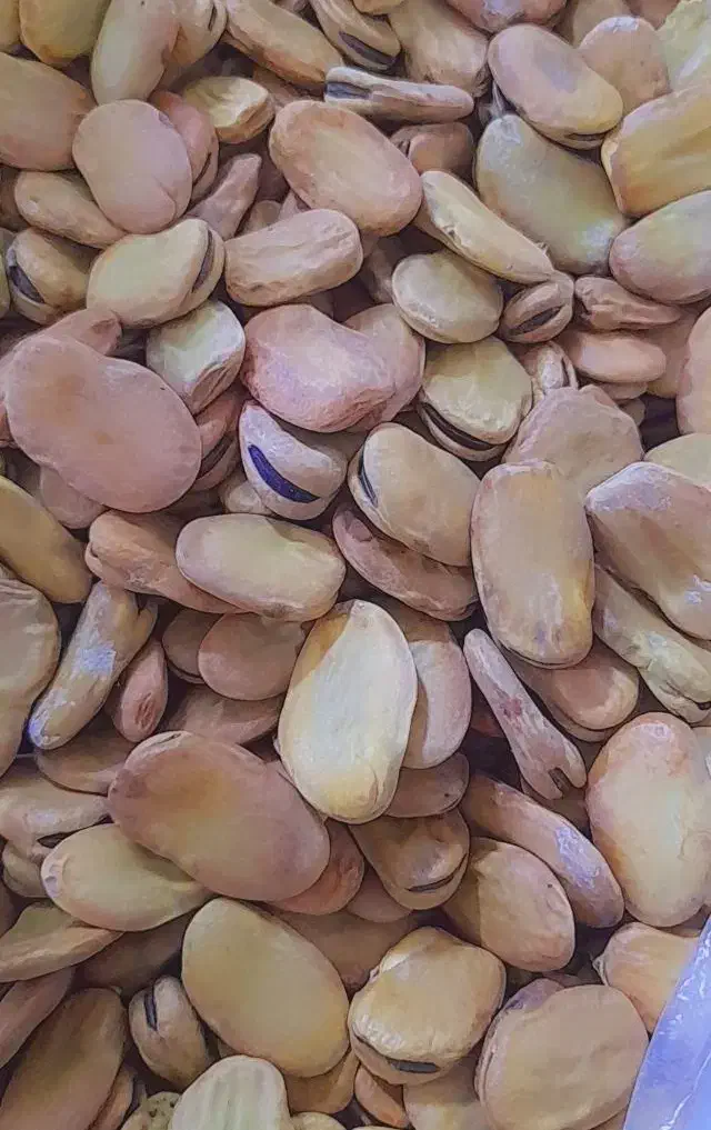 باقله خشک|خوردنی و آشامیدنی|شوشتر, |دیوار