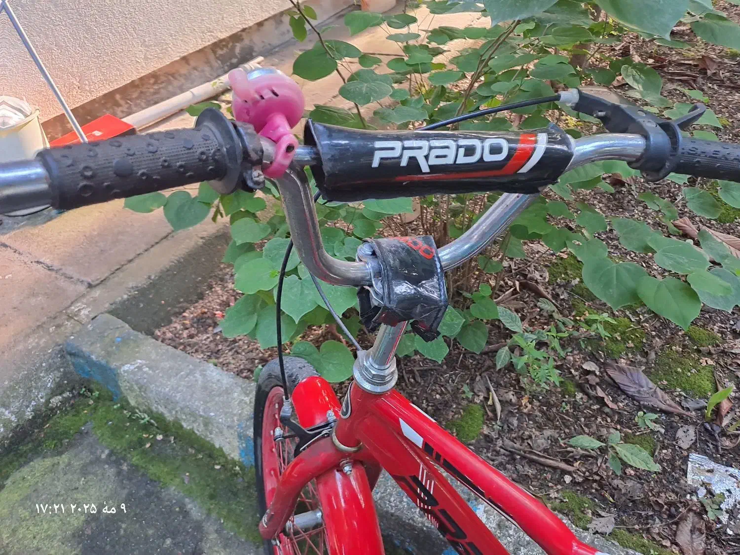 دوچرخه قرمز|دوچرخه، اسکیت، اسکوتر|رشت, نیروی دریایی|دیوار