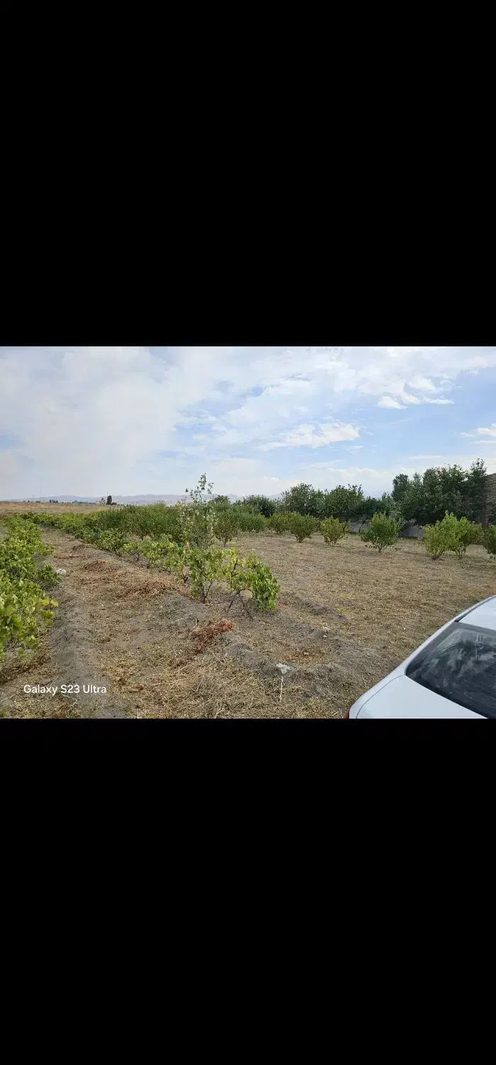 زمین برای سرمایه گذاری|فروش زمین و ملک کلنگی|مشگین شهر, |دیوار